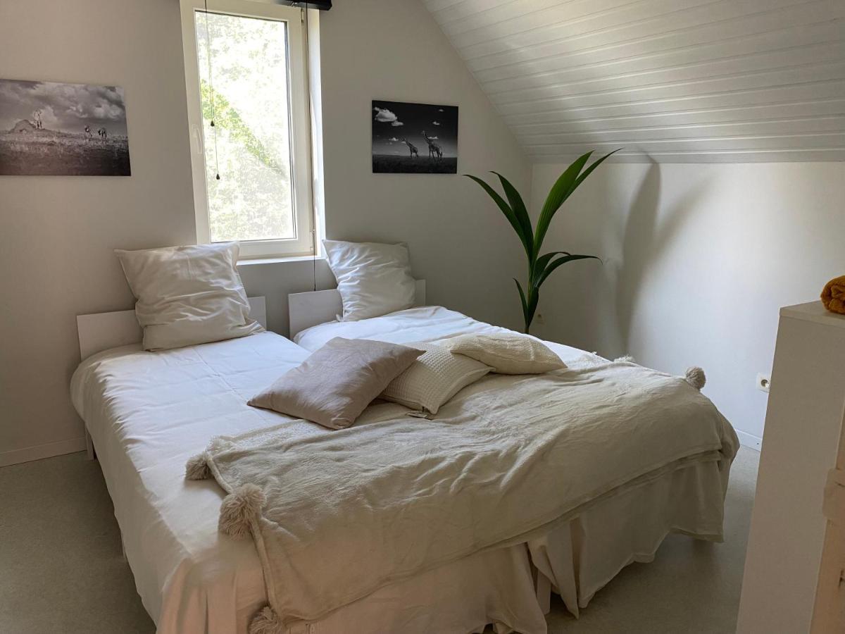 B&B Maison Blanche Gent Exteriör bild